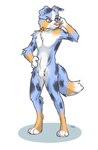 anthro black_body black_fur blue_body blue_eyes blue_fur eyewear featureless_crotch feet fur glasses male nude orange_body orange_fur simple_background solo standing toeless_(marking) white_background white_body white_fur ddgio canid canine canis domestic_dog mammal 2021 hi_res signature