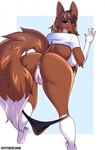anthro big_breasts blush bottomwear breasts brown_body brown_fur brown_hair butt clothing female fur genitals hair long_hair looking_at_viewer nipples nude panties pussy shirt simple_background smile solo tail topwear underwear white_body white_fur butterfliess sara_(szarik181) canid canine canis domestic_dog hybrid mammal wolf wolfdog digital_media_(artwork) hi_res