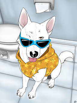 after_fellatio after_oral after_sex animal_genitalia balls bathroom black_balls black_nose bodily_fluids brown_eyes clothing cum cum_in_eye cum_on_clothing cum_on_face cum_on_muzzle eyewear feral fur genital_fluids genitals high-angle_view hoodie inside looking_at_viewer male quadruped sheath sitting solo sunglasses tail toilet toilet_paper tongue tongue_out topwear white_body white_fur consensualcanine blake_(consensualcanine) canid canine canis domestic_dog german_shepherd herding_dog mammal pastoral_dog absurd_res hi_res