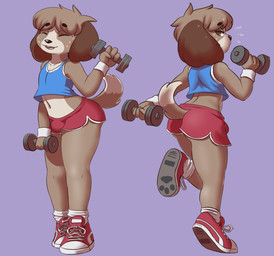 anthro biped bodily_fluids bottomwear bulge butt clothed clothing crop_top dumbbell exercise eyes_closed footwear fur hair half-closed_eyes legwear looking_at_viewer looking_back male midriff narrowed_eyes navel shirt shoes shorts simple_background skimpy smile sneakers socks solo standing sweat tank_top topwear underbutt weights wristband mr-shin animal_crossing nintendo digby_(animal_crossing) canid canine canis domestic_dog mammal shih_tzu toy_dog digital_media_(artwork) hi_res multiple_images shaded