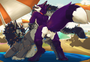 animal_genitalia animal_penis anthro anthro_on_feral anthro_penetrating anthro_penetrating_feral anus ass_up beach bestiality black_body black_claws black_fur black_knot black_pawpads black_penis black_sclera blue_claws blue_eyes blue_pawpads blue_vulva butt canine_genitalia canine_penis claws clitoral_hood clitoris collar dominant dominant_female duo erection female female_penetrated feral feral_penetrated fur genitals grey_body grey_fur holding_leash holding_object humanoid_genitalia humanoid_genitalia_on_feral humanoid_vulva humanoid_vulva_on_feral interspecies knot knotted_penis larger_penetrated leash leash_pull male male/female male_penetrating male_penetrating_female pawpads penetration penile penile_penetration penis pink_anus public public_sex purple_body purple_fur raised_tail sex size_difference tail teeth vaginal vaginal_penetration vulva white_body white_fur cannibalistic_tendencies mythology canid dragon furred_dragon furred_scalie mammal mythological_creature mythological_scalie scalie hi_res