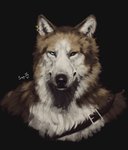 anthro detailed_fur ear_piercing ear_ring fur heterochromia looking_at_viewer male painting piercing ring_piercing simple_background solo sepulte reyes_(sepulte) canid canine canis mammal wolf 2021 bust_portrait detailed hi_res portrait signature