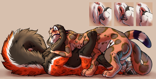 69_position anus balls bodily_fluids breasts cunnilingus digit_ring duo eyewear female fur genital_fluids genitals glasses husband husband_and_wife jewelry licking looking_at_another looking_at_partner looking_back love male male/female markings married_couple nude open_mouth oral ring romantic romantic_couple romantic_sex semi-anthro sex spots spotted_body spotted_fur tail taur_on_taur tongue tongue_out vaginal vaginal_fluids vulva wedding_ring wife marjani evianrei mewrei ailurid clouded_leopard felid hybrid leopard mammal pantherine red_panda snow_leopard taur 2021 hi_res
