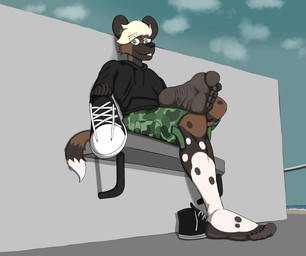 5_toes anthro barefoot beach bench big_feet black_body black_clothing black_feet black_footwear black_nails black_shoes black_toenails black_topwear blonde_hair bottomwear brown_body brown_fur camo camo_clothing camo_print clothed clothing cloud colored_nails feet foot_fetish foot_focus footwear fur green_eyes hair holding_object hoodie humanoid_feet looking_at_viewer male multicolored_body multicolored_clothing nails outside pattern_clothing plantigrade seaside shoes shorts sitting sky smile sneakers soles solo spots tail toenails toes topwear white_body wrinkled_feet wrinkles t1nyroach canid canine hyena mammal
