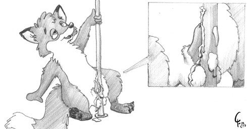 anthro balls bodily_fluids close-up cum cum_on_self cute_fangs dancing ejaculation fangs genital_fluids genitals hands-free male orgasm penis pole pole_dancing pole_masturbation solo teeth caribbean_fox canid canine fox mammal 2007 monochrome