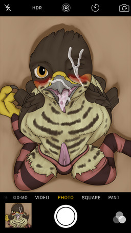 after_sex anthro beak blush bodily_fluids bodily_fluids_in_mouth bottomwear brown_body brown_feathers camera_view clothed clothing cum cum_in_mouth cum_inside cum_on_beak cum_on_face cum_on_tongue electronics feathers footwear genital_fluids genitals grey_beak kneeling legwear looking_at_viewer male one_eye_closed open_mouth orange_eyes panties pattern_bottomwear pattern_clothing pattern_footwear pattern_legwear pattern_panties pattern_socks pattern_underwear penis phone recording screen socks solo striped_bottomwear striped_clothing striped_footwear striped_legwear striped_panties striped_socks striped_underwear stripes submissive submissive_male tan_body tan_feathers tapering_penis text tongue topless underwear doesnotexist third-party_edit lief_woodcock accipiter accipitrid accipitriform avian bird eurasian_sparrowhawk true_hawk 2018 digital_media_(artwork) english_text hi_res signature