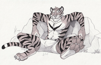 anthro claws closed_smile clothed clothing front_view grass head_tuft looking_at_viewer male male_anthro markings mouth_closed pawpads plant rock smile solo spread_legs spreading striped_arms striped_legs striped_markings striped_tail stripes tail tail_markings toe_claws topless tuft hufnaar felid mammal pantherine tiger 2017 dated hi_res