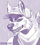 anthro clothing facial_piercing fur hat headgear headwear kerchief looking_at_viewer male nose_piercing piercing smile solo grungecandy canid canine mammal purple_theme