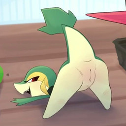 anthro anus biped female feral genitals green_tail looking_at_viewer looking_back semi-anthro side_view solo tail teeth vulva yellow_body tofuuu nintendo pokemon generation_5_pokemon pokemon_(species) snivy 1:1 animated short_playtime sound video