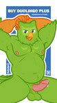 anthro balls barazoku beak belly black_eyes blue_background bodily_fluids circumcised circumcision_scar dripping erection feathers genital_fluids genital_scar genitals green_body green_feathers grin hand_on_head hands_behind_head humor looking_at_viewer male mascot musclegut muscular nipples pecs penis precum precum_drip saggy_balls scar simple_background sitting smile solo tongue vein veiny_penis cerdeorhys duolingo duo_(duolingo) avian bird owl hi_res