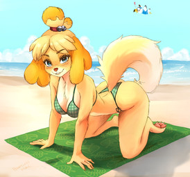 4_toes 5_fingers all_fours anthro beach beach_towel bell bikini blonde_hair blue_eyes blush breasts brown_nose butt chest_tuft clothing dipstick_tail eyebrows feet female fingers fur green_bikini green_clothing green_swimwear hair markings pawpads smile solo swimwear tail tail_markings toes towel tuft two-piece_swimsuit yellow_body yellow_fur yellow_tail pennylessmac animal_crossing nintendo isabelle_(animal_crossing) canid canine canis domestic_dog mammal 2025 absurd_res hi_res