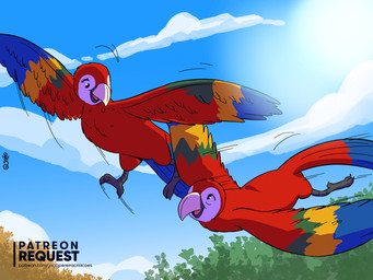cloud day duo sky sun text joaoppereiraus patreon ara_(genus) avian bird macaw neotropical_parrot parrot scarlet_macaw true_parrot 4:3 hi_res url