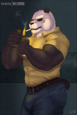 anthro barazoku belt biceps big_muscles black_sclera bottomwear bulge cigarette clothed clothing collared_shirt denim denim_bottomwear denim_clothing dress_shirt fire jeans lighter male manly muscular muscular_anthro muscular_male narrowed_eyes pants scar shirt smoke smoking solo standing topwear wulfusweid beastars gouhin_(beastars) bear giant_panda mammal 2020