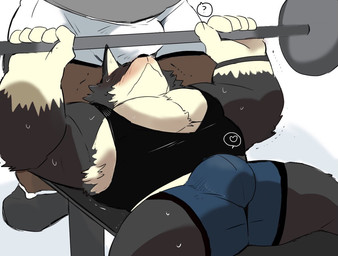 anthro barbell bench_press blush bodily_fluids bottomwear bulge bulge_in_face clothing duo exercise faceless_character faceless_male heart_symbol male male/male muscular muscular_anthro muscular_male question_mark shirt shorts sweat tank_top topwear weight_bench weightlifting workout hyaku_(artist) canid canine canis domestic_dog mammal 2020