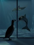 ambiguous_gender aquarium feral group symbolism trio vivarium rpalaeo alcid avian bird cetacean dolphin great_auk lari mammal marine porpoise recently_extinct_species toothed_whale vaquita 3:4 3d_(artwork) digital_media_(artwork) hi_res