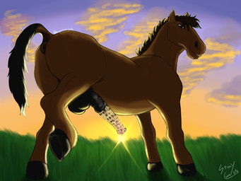 anatomically_correct anatomically_correct_genitalia anatomically_correct_penis animal_genitalia animal_penis anus backsack balls butt dirty equine_genitalia equine_penis erection feral genitals grass_field horse_tail light looking_at_viewer looking_back male penis presenting raised_leg raised_tail sheath smegma smegma_on_penis solo sunlight tail stinkycoyote equid equine horse mammal 4:3 absurd_res hi_res