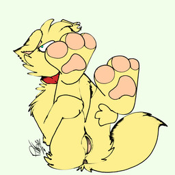 anthro anus feet female foot_fetish foot_focus genitals hindpaw legs_up markings pawpads paws solo tail vulva piperis sadie_amos canid canine canis domestic_dog mammal pomeranian spitz toy_dog 1:1 hi_res