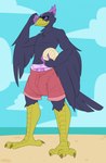 anthro ball beach bottomwear clean_diaper clothed clothing diaper diaper_under_clothing eyewear male seaside shorts solo sunglasses wearing_diaper bubblepuppers gambit gambit_(the_corvid) avian bird corvid oscine passerine hi_res