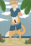 anthro balls beach blush bottomwear bottomwear_down clothed clothing detailed_background erection front_view genitals male outside pants pants_down partially_clothed penis sand seaside sky smile smirk solo tail yanderedanshi imeow domestic_cat felid feline felis hybrid mammal hi_res