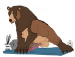 anatomically_correct anatomically_correct_genitalia anatomically_correct_penis animal_genitalia animal_penis balls bear big_balls big_penis brown_bear erection feral genitals grizzly_bear hair hi_res incense kuruk_(character) male mammal mane mane_hair massage_oil penis sheath slightly_chubby smexyoryx solo ursine ursine_penis yoga yoga_mat