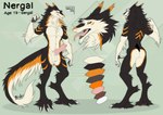 animal_genitalia balls digitigrade genitals knot male neck_tuft open_mouth penis sharp_teeth sheath solo tail tail_tuft teeth tongue tongue_out tuft hazakyaracely nergal_(shuffl3) sergal model_sheet