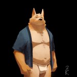 anthro asian_clothing bottomwear clothing east_asian_clothing fundoshi fur japanese_clothing loincloth male multicolored_body multicolored_fur musclegut muscular solo two_tone_body two_tone_fur underwear yellow_body yellow_fur 3000vnd canid canine canis domestic_dog mammal hi_res