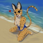 anthro beach breasts clothing female heart_symbol kneeling looking_at_viewer nipples seaside solo swimwear undressing water andy_234 zorey cheetah felid feline mammal 1:1