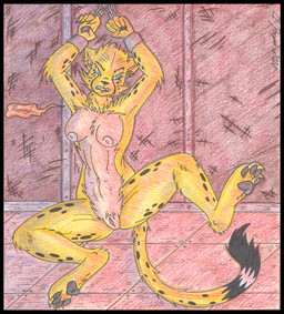 4_toes angry anthro arms_above_head bdsm black_border bondage border bound breasts captured chain chained cuff_(restraint) digitigrade dungeon feet female fur genitals hands_tied markings nipples nude pawpads paws prisoner restraints shackles simple_background soles solo spots spotted_body spotted_fur submissive submissive_female toes vulva cougar_leon dc_comics cheetah_(dc) cheetah felid feline mammal traditional_media_(artwork)