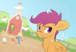 avian barn bird chicken equid equine eyebrows farm feathered_wings feathers female feral friendship_is_magic galliform gallus_(genus) hair hasbro looking_away mammal my_little_pony mythological_creature mythological_equine mythology outside pegasus phasianid pony-butt-express purple_eyes purple_hair raised_eyebrow scootaloo_(mlp) sitting solo wings young young_feral