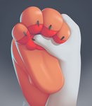 2017 4_toes ambiguous_gender ambiguous_species anthro black_background black_body black_claws claws close-up digital_media_(artwork) duo feet fingers foot_focus foot_grab foot_shot fur gradient_background grey_background hi_res kaylafox nude orange_body orange_fur pawpads red_pawpads simple_background soles toe_claws toes white_body white_fur