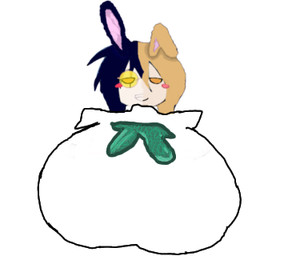 andromorph anthro churry churrybanny clothing female intersex shirt solo topwear tiktok lagomorph mammal low_res