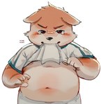 anthro belly blush bodily_fluids clothing male navel nipples overweight shirt solo tears topwear young young_anthro tongmung24 canid canine canis domestic_dog mammal 2022 hi_res