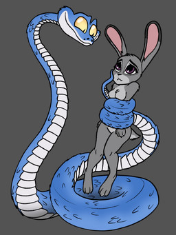 anthro blue_body blue_scales claws coiled_up coiling_another coiling_around_body duo female feral fur grey_background grey_body grey_fur imminent_vore male paws pointy_ears rabbit_ears scales simple_background yellow_eyes thepalps disney zootopia gary_de'snake judy_hopps european_rabbit lagomorph leporid mammal oryctolagus pit_viper rabbit reptile scalie snake viper hi_res