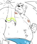 anthro belly bodily_fluids clothing kemono male moobs nipples overweight overweight_anthro overweight_male solo sun sweat swimwear towel rampie bear mammal 2020 5:6 hi_res