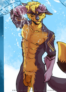 abs anthro balls bath bathing foreskin fur genitals humanoid_genitalia humanoid_penis male muscular muscular_male navel nipples nude penis shower solo tongue tongue_out water wet yellow_body yellow_fur lengey eidrew canid canine canis mammal wolf hi_res