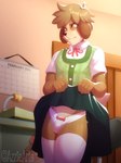 3:4 absurd_res animal_crossing anthro azziearts blush blush_lines bodily_fluids bottomwear bow_panties bow_underwear bulge canid canine canis clothed clothing clothing_lift crossdressing desk detailed_bulge digby_(animal_crossing) digital_media_(artwork) domestic_dog embarrassed femboy fur furniture hair hi_res legwear male mammal nintendo office panties panties_bulge penis_in_panties presenting presenting_panties presenting_underwear raised_bottomwear raised_clothing raised_skirt shih_tzu shirt skirt skirt_lift solo sweat table tail thigh_highs topwear toy_dog underwear upskirt white_clothing white_panties white_underwear