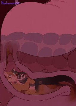 after_vore ambiguous_gender ambiguous_pred anthro black_body blue_eyes digestion duo feces guts hug inside_intestines internal intestines melty_digestion multiple_prey orange_body organs small_intestines stomach vore hakkerman palette_(character) canid canine canis mammal wolf 2025 2d_animation animated no_sound short_playtime video