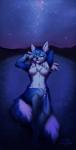 4_toes anthro blue_body blue_eyes blue_fur blue_hair breasts digitigrade featureless_breasts feet female fur hair navel nude sky smile solo star starry_sky toes kero_tzuki saphayla_(zelianda) arctic_fox canid canine fox mammal true_fox 2017