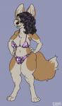 anthro bikini bulge clothing gynomorph hair hair_over_eye hands_on_hips intersex looking_at_viewer one_eye_obstructed smile solo standing swimwear two-piece_swimsuit dbd canid canine fennec_fox fox mammal true_fox