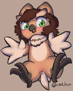 anthro big_eyes blush feathers kemono male null solo ced_bun avian bird domestic_cat felid feline felis hybrid mammal owl hi_res