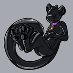 ambiguous_gender anthro big_tail black_clothing black_pawpads bound clothing collar collar_tag encasement faceless feet foot_focus glistening grey_background hand_on_chest latex latex_clothing latex_skinsuit legs_together pawpads purple_collar reclining rubber_clothing simple_background skinsuit solo tail tight_clothing tallarra terrev animate_inanimate felid living_latex mammal pantherine snow_leopard