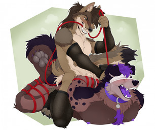 animal_genitalia anthro arms_tied arms_tied_behind_back armwear bdsm black_body black_fur black_spots blindfold blue_nipples bondage bound brown_body brown_fur brown_hair clothing collar dark_body dark_fur devious_grin dipstick_tail duo fishnet_armwear fishnet_clothing fishnet_legwear fur genitals grey_body grey_fur hair legs_tied legwear light_body light_fur long_hair male male/male markings nipples open_mouth pawpads purple_collar purple_hair purple_mouth purple_nipples purple_tongue red_rope restrained restraints rope rope_bondage rope_harness sheath sitting sitting_on_another sitting_on_partner spots tail tail_markings tan_body tan_fur tongue bluezeru mizuhocoyote_(character) rydgedshep_(character) canid canine canis coyote domestic_dog german_shepherd herding_dog mammal pastoral_dog hi_res
