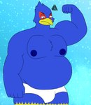 annoyed anthro belly blue_body blue_feathers clothing feathers looking_down male moobs musclegut muscular nipples overweight overweight_anthro overweight_male solo underwear white_clothing white_underwear wolfox90210 nintendo star_fox falco_lombardi avian bird falcon falconid 2025 hi_res