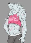 anthro big_bulge bulge clothing crop_top fur male pink_clothing pink_topwear scar shirt solo topwear underwear white_body white_fur haruthedog canid canine canis mammal wolf haru_(disambiguation)