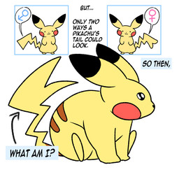 ambiguous_gender female_symbol feral gender_symbol male_symbol multicolored_body sexual_dimorphism simple_background solo symbol tail text white_background yellow_body postmanic nintendo pokemon generation_1_pokemon pikachu pokemon_(species) english_text hi_res