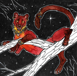 ambiguous_feral ambiguous_gender claws ear_piercing ear_ring fangs feral fur glistening glistening_eyes in_tree jewelry looking_at_viewer necklace open_mouth orange_body orange_eyes orange_fur orange_tail outside piercing plant pupils ring_piercing simple_background slit_pupils solo tail teeth tree whiskers white_claws heatherwolf derago euplerid fossa mammal