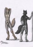 abs anthro backsack balls black_body black_fur butt duo flaccid foreskin fur genitals humanoid_genitalia humanoid_penis looking_at_viewer male muscular penis pose simple_background standing tail yellow_eyes ace_stryker canid canine canis mammal wolf 2012 hi_res