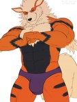 abs anthro biped black_body black_fur bulge clothed clothing detailed_bulge fangs fur male muscular muscular_anthro muscular_male one_eye_closed orange_body orange_fur pecs simple_background smile solo standing striped_body striped_fur stripes tan_body tan_fur teeth topless underwear white_background rustymiko nintendo pokemon arcanine canid canine generation_1_pokemon mammal pokemon_(species) 2022 3:4 digital_media_(artwork) hi_res