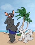 anthro beach blush clothing coppertone_pose duo male palm_tree plant sand sea seaside swimming_trunks swimwear tree water federick housepets! fox_(housepets!) mungo_(housepets!) canid canine canis domestic_dog mammal absurd_res hi_res