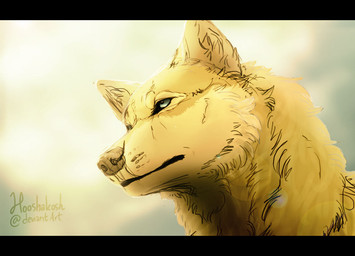 ambiguous_gender black_bars bright_background feral feralized fluffy fur looking_aside realistic_feral solo yellow_body yellow_fur ouivon attack_on_titan annie_leonhart canid canine canis mammal wolf 2014 letterbox